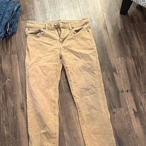 American Eagle Outfitters Tan Chinos